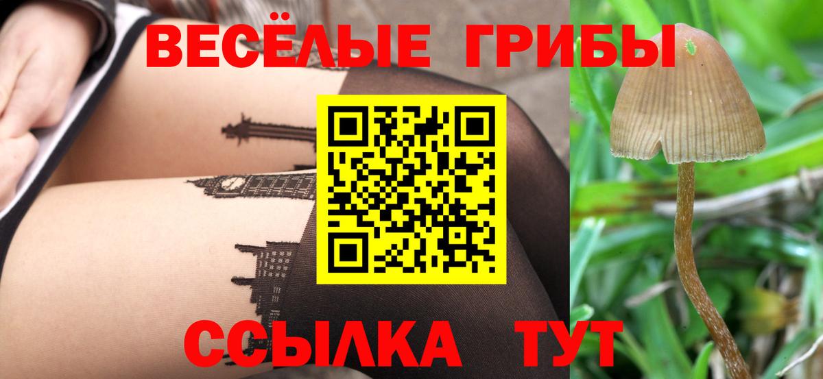 Воскресенск  Псилоцибиновые грибы Magic Shrooms  Вход с VPN 